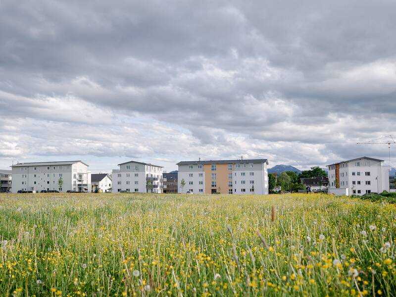 Neubau Bauprojekte Ellmosener Wies Bad Aibling