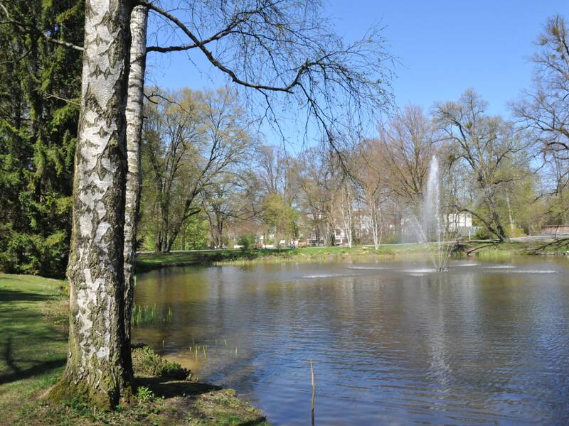 Ein Bild des Kurarks mit einer Birke im Vordergrund, einem Teich mit Fontäne und Personen, die in der Entfernung das sonnige Wetter genießen.