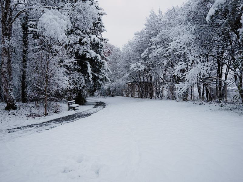 Kurpark Bad Aibling im Winter