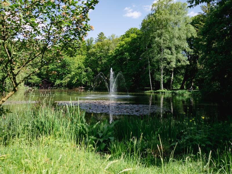 Irlachweiher im Kurpark Bad Aibling