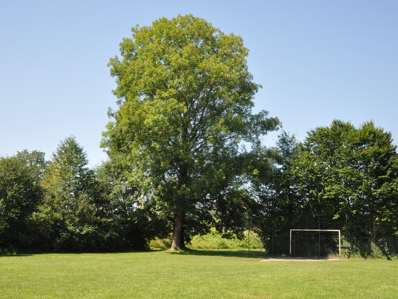 Bolzplatz mit Beachvolleyball und Basketball in der Kranzhornstraße